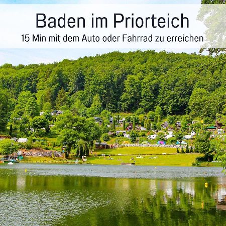 Marks Ferienwohnung In Bad Sachsa - Waldnah, Hundefreundlich, Ruhig! Ideal Fuer Paare Mit Hund エクステリア 写真